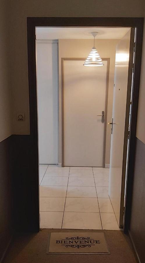 :) Grand Studio Lumineux A Toulouse Et Parking エクステリア 写真
