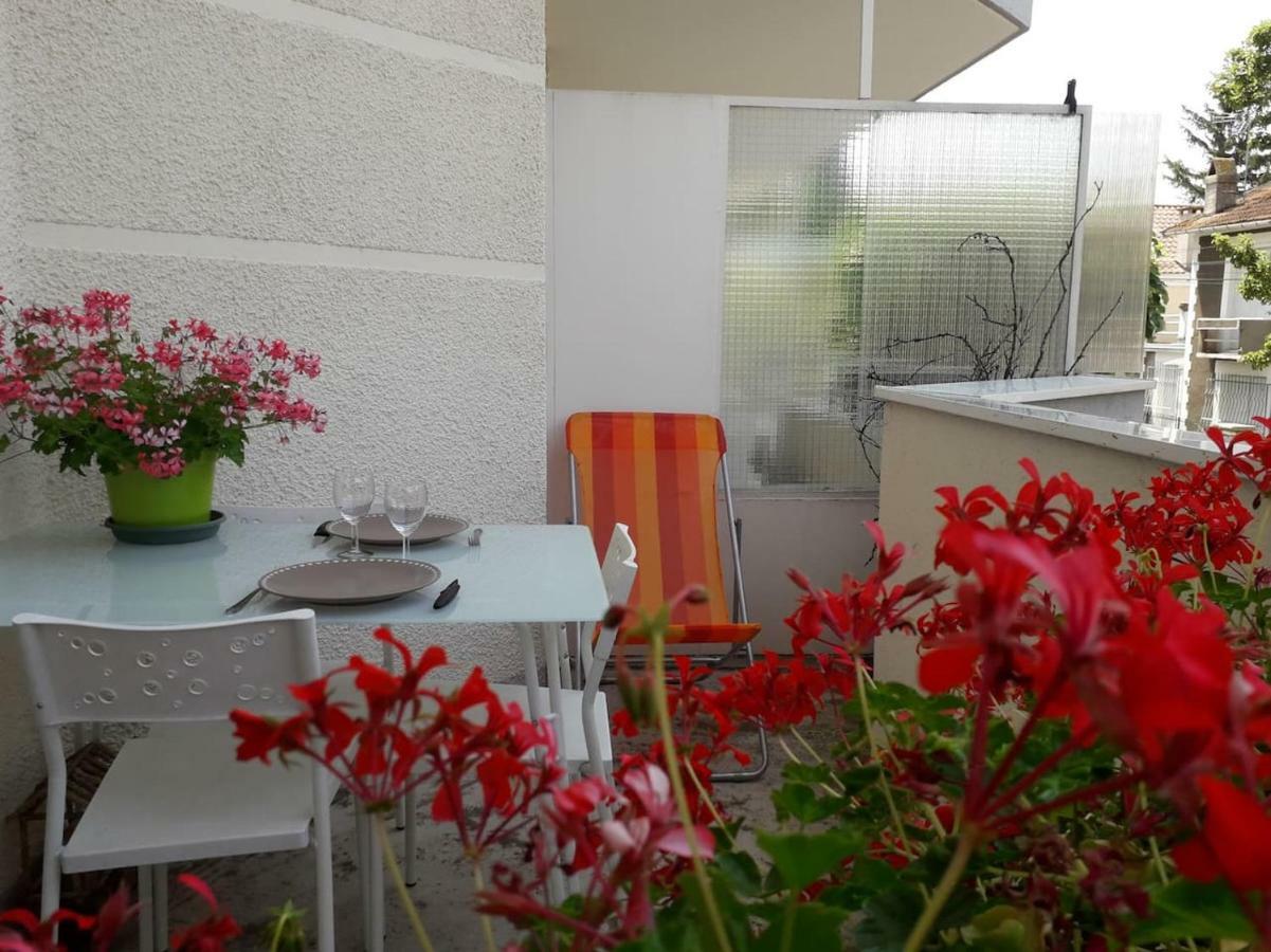 :) Grand Studio Lumineux A Toulouse Et Parking エクステリア 写真
