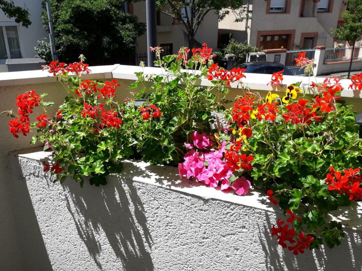 :) Grand Studio Lumineux A Toulouse Et Parking エクステリア 写真